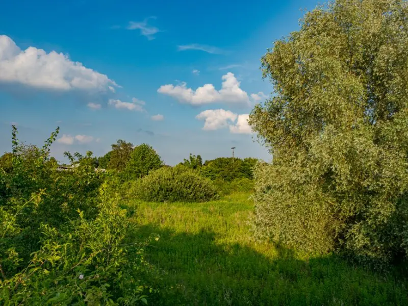 Scenic view of a lush green landscape with blue sky and clouds in Coesfeld, Germany.
